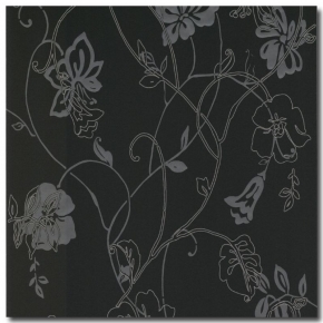 Фото BN International Jolly 46662