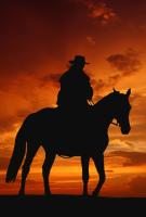 Ковбой на лошади