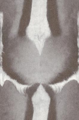 Фото Rasch African Queen 2014 423006