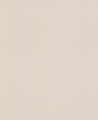 Фото Rasch Modern Surfaces 2 607789