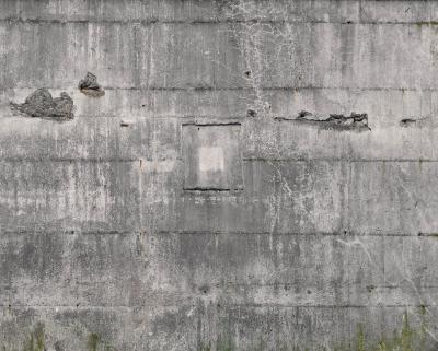 Фото Rasch Factory IV 445510