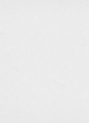 Фото Erismann RollOver Expert 4053-01