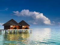 Домики для отдыха