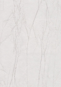 Фото Marburg Crush Gala 61885