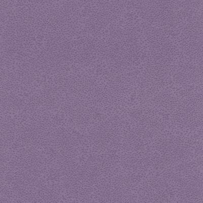 Фото Rasch Miracle 2014 421958