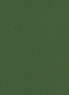 Фото Erismann Natural Silence 5292-36