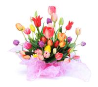 Букет тюльпанов