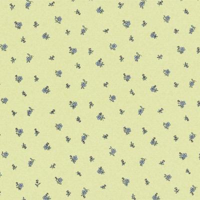 Фото Erismann My Life is Sweet 2015 7306-07