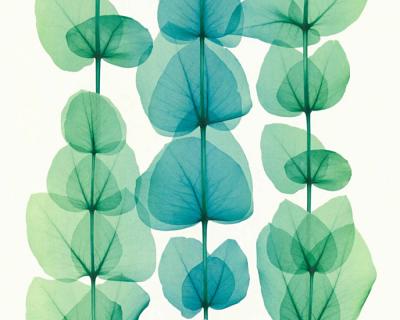 Фото A.S.Creation X-Ray 34245-4