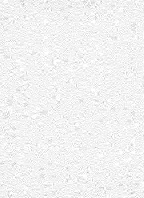 Фото Erismann Robusto Vol.2 3900-01 (3900-10)