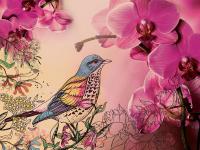 Красивая птица