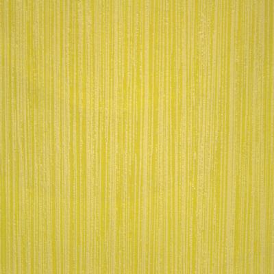 Фото Marburg Gina's 53831