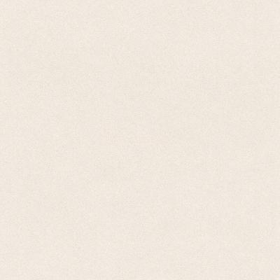 Фото Rasch Passepartout 607239