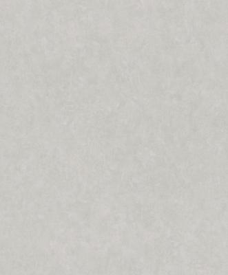 Фото Rasch Modern Surfaces 2 512649