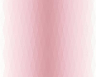 Фото A.S.Creation Esprit 14 36676-2