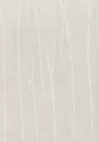 Фото Marburg Crush Gala 61852