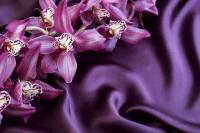 Цветы на атласе