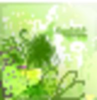 Зеленые цветы