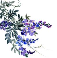 Цветущая ветка