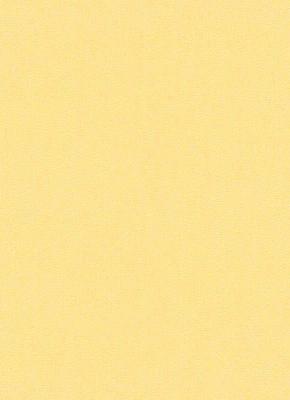 Erismann Up to date 6458-03