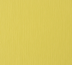 BN International Colourline 45687