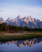 Лес и скалы