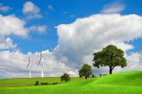 Деревья и ветряки