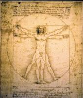 Витрувианский человек в винтажном стиле