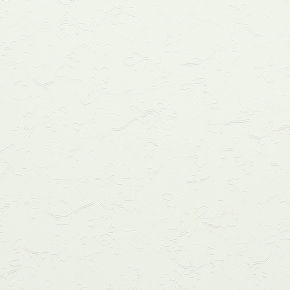 Фото BN International Moods 43443