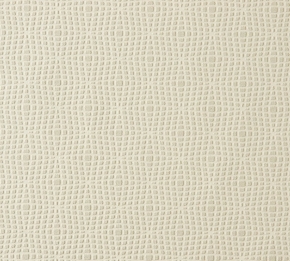 Фото BN International Inspire 45413