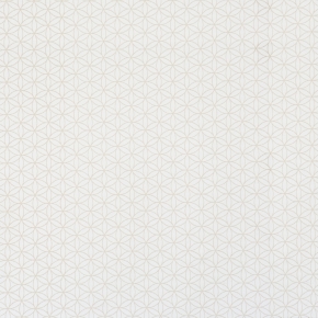 Фото BN International Nordic Light 47460