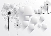 Одуванчики на фоне стены