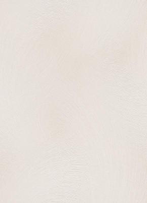 Фото Erismann Spotlight 2 12199-14