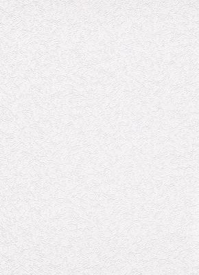 Фото Erismann Robusto Vol.2 3909-01