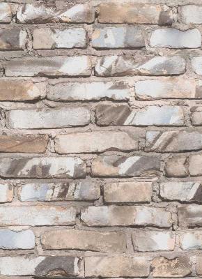 Фото Erismann Prime Time Vol.2 7370-10