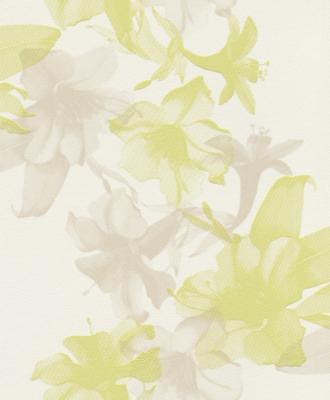 Rasch Unsere Besten 2014 410631