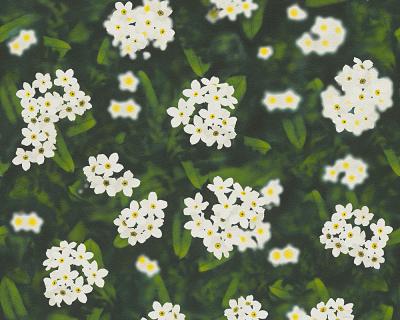 A.S.Creation Dekora Natur 6 95932-1