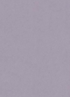 Фото Erismann Isabella 5918-21