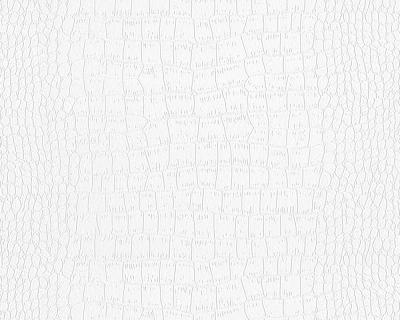 Фото A.S.Creation Maistervlies 2020 95051-2