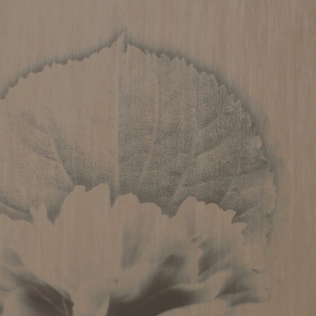 Фото Marburg Ulf Moritz Charisma 78774