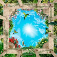 Птицы в небе