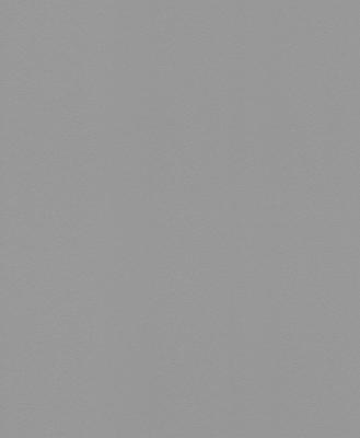 Rasch Modern Surfaces 2 607741