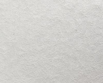 Фото A.S.Creation Omnia 180810