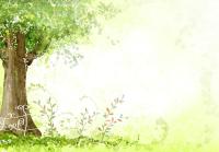 Сказочное дерево