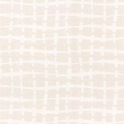 Фото Marburg Padua 56106