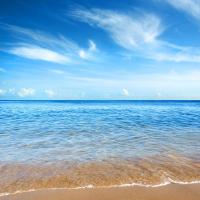 Морское побережье