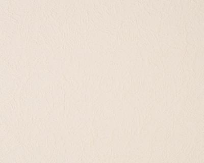 Фото A.S.Creation Simply White 251619