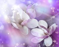 Магнолии на сиреневом фоне