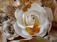 Роза с бабочками