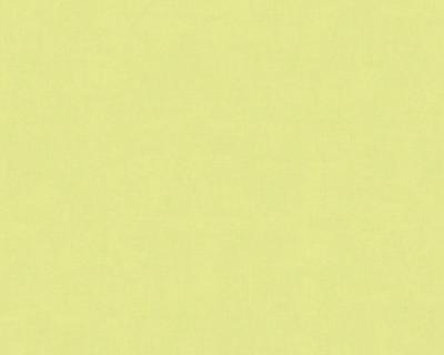 Фото A.S.Creation X-Ray 34248-8